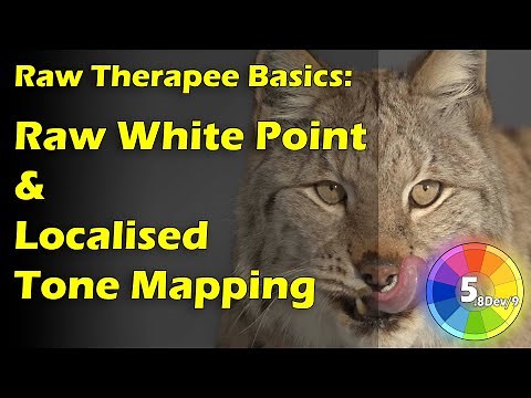 Raw Therapee Basics: Raw White Point, and Local Adjustment Spot Tone Mapping.
