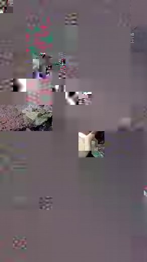 176K views · 227 reactions | 2ft long reach chisel scaler & needle attachment are the perfect tool to remove plaster. #engineering | Interesting Engineering | Facebook