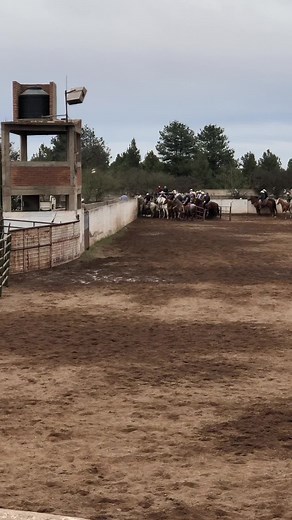 #durango #mexico🇲🇽 #viral #rollingcats #coleadero #caballos #viral #parati