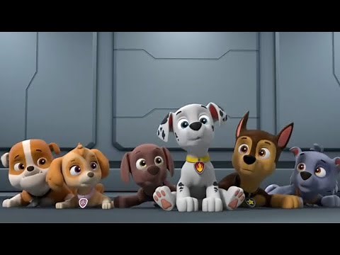 paw patrol big truck pups: pups save the swiped speakers wipeout (full episode in the description)