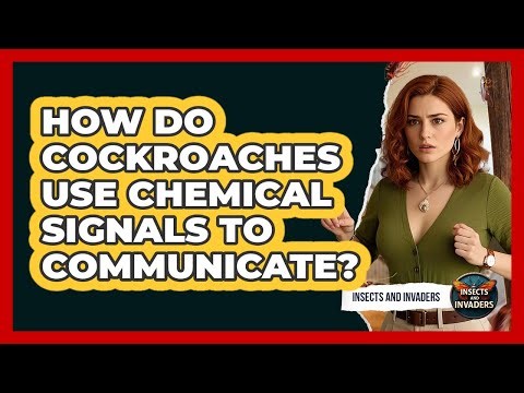 How Do Cockroaches Use Chemical Signals To Communicate? - Insects and Invaders