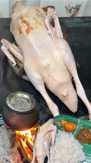 K Tirupati Rao on Instagram: "Duck Meat (Bhatu Mamsam) - Delicious 🤤 Sankranthi Day 3 Vlog - Homemade Duck Meat - Trying First time in my life 🤓 Hope you like it 😇 . Do Follow: @tasteofflavours2022 . . #duckmeat #vizag #srikakulam #food #vaccation"