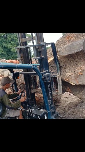 tree stump #fblifestyle #sawmill #wood #woodworking #woodslabs #fyp #viral #trending #reels #travel #trendingreels #entertainment #diy | Bola Voli Go | Facebook