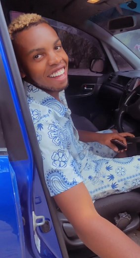 Explore the Features of a Blue Toyota Car