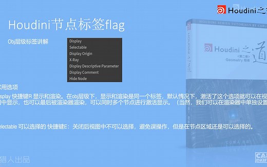 houdini 节点标签flag完全讲解 houdini之道02_000_04