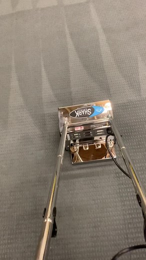 Cleaning and Making Shark Teeth with My Shark