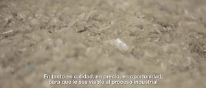 853K views · 1.1K reactions | ¿Ya conoces el compromiso de Darnel con el medio ambiente? Este es el resultado del esfuerzo y dedicación desde el productor, hasta el usuario final para transformar residuos de productos PET en materia prima para crear nuevos productos DARNEL y de esta manera ayudar al planeta mediante el reciclaje. | Darnel | Facebook