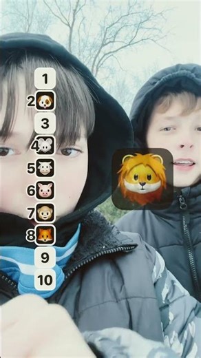 67 #christmas Animals