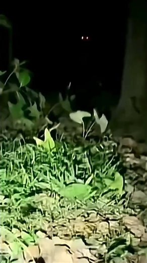 Youtube ki sabse horror video..😲⚠️.. #short #shorts #scary #ghost #horror
