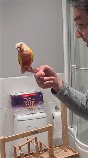 Morning poops are the absolute WORST!