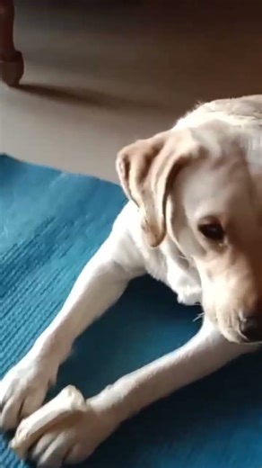 #yashomatimaiyasebolenandlala 3#love