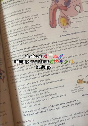 Exploring Human Biology: A Passionate Journey