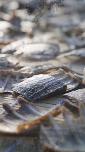 14K views · 177 reactions | Handmade healing | The art of turtle shell glue | Incredible Utilities | Facebook