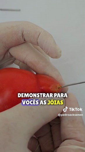 Piercing Príncipe Albert: Técnicas e Joias Necessárias