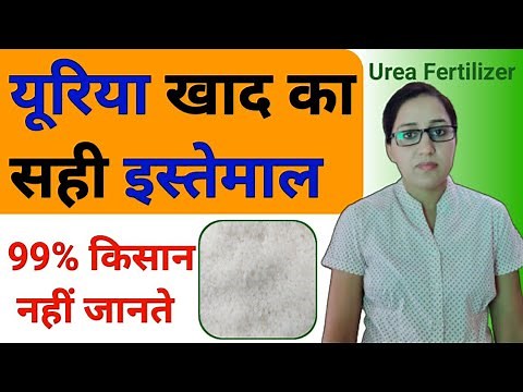All about urea fertilizer | how to apply urea fertilizer | how to use urea fertilizer on plants&crop