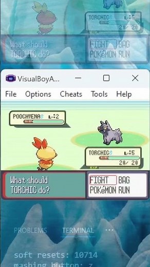 Shiny Torchic after 3620 soft resets | Pokémon Ruby and Sapphire