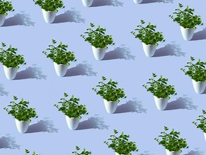 Fedi to Build Privacy-Focused Bitcoin Mobile App on Fedimint Protocol