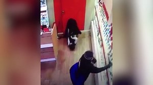 Horrific moment robber stamps on man's head during attack