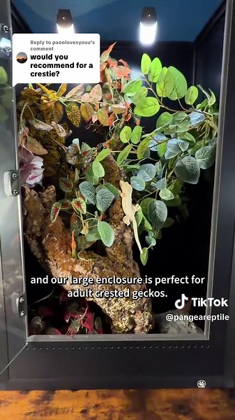 Pangea PVC Enclosures for Cresties: Perfect Fit Options