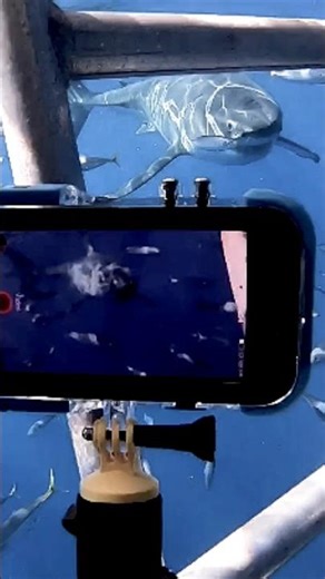 Testing my underwater ProShotCase 📱🤳