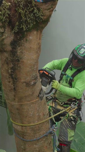 This one’s blowing up on YouTube, check full version 🔥