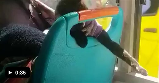 The usual suspect trying to snatch a bag - Video