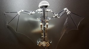 New 'Bat Bot' Robot Flies Like a Bat