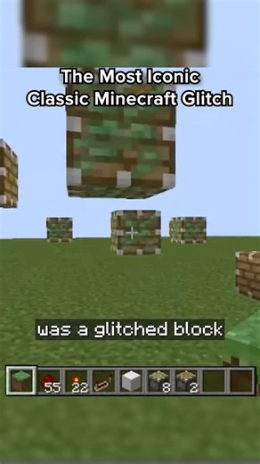 Retro Gaming Now on Instagram: "Is this the most iconic glitch in @minecraft ?👀 #gaming #minecraftlore"