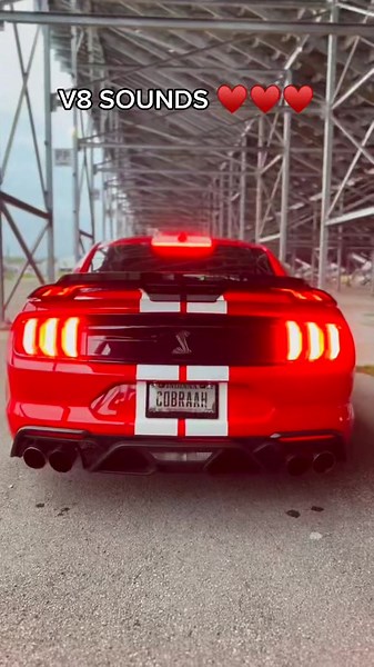 Cuentas recomendadas