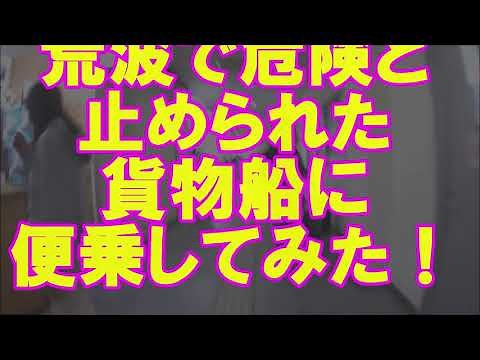 荒波で乗船危険と 止められた 西表島貨物船に 便乗してみた！【日本一マイナーなフェリー】八重山観光フェリー貨客船「かりゆし」99t 決死の便乗記 （2023.11）全身びしょ濡れ確実！（船員談）石垣島