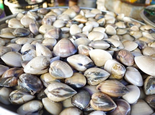 700 Acres Of Rhode Island Shellfishing Ground Shutting Down: State