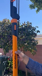 Watch Must have extendable pole saw on Amazon Live