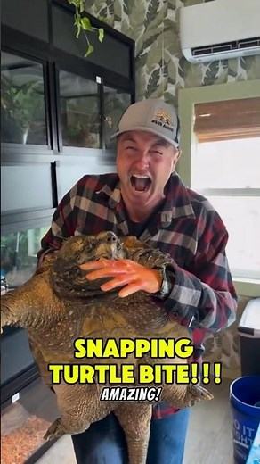 “Snapping Turtle’s Bite Is Stronger Than You Think