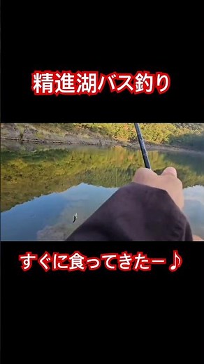 2025年8月30日精進湖バス釣り#精進湖バス釣り#バス釣り#バスフィッシング#bass fishing#バス釣り好きと繋がりたい#釣り好きと繋がりたい#釣り#jbac釣りチャンネル