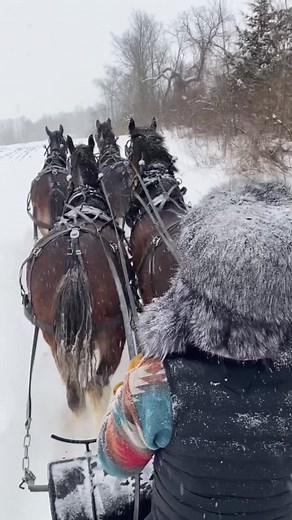 Only thing that hits hard than this guys remixes is Vermont winters when you think spring is coming #itsamandalee #clydesdales #snow #snowstorm #onlyfarmers
