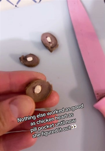 #spoileddog #pomchi #funnydog #pillpocket #dogmedicine | dog
