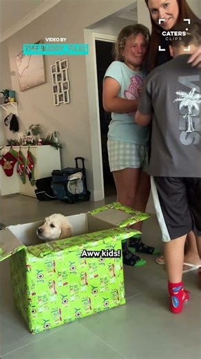 What We Got For Xmas