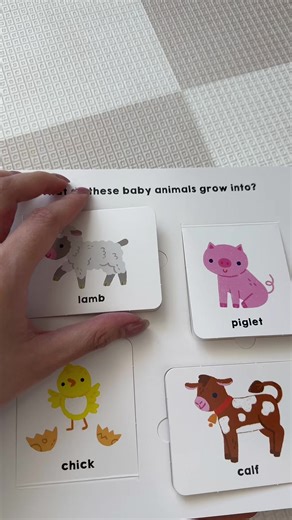 Exploring Our Favorite Interactive Popup Books