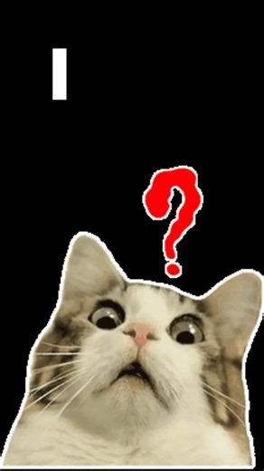 Which Cat mood are YOU today? #cat #shorts #fyp #viralvideo #trending