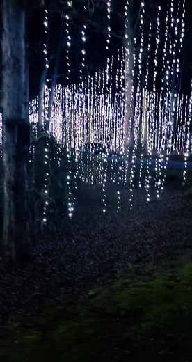 #elpoderdelnorte #norteños #mividaerestu