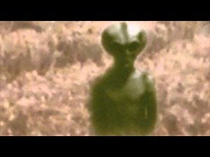 Alien in cornfield
