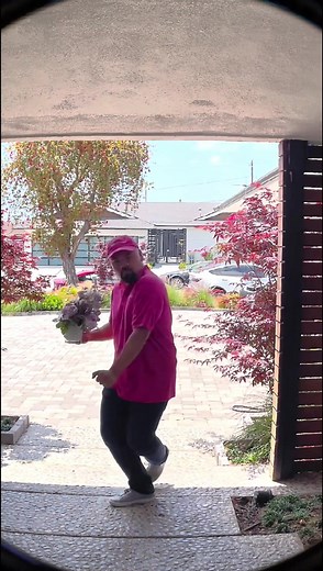 Goated and still gettin’ after it. . . . . #Teleflora #LoveOutLoud #florist #localflorist #flowers #bouquets #flowerbouquet #orderflowers #sendflowers #flowergram #floraldesign #shoplocal #flowershop #flowerlovers #gift #gifts #dancingdeliveryman #dance #hiphop #dancing #dancer #throwback #goated #dancetrends #trendingdances #swag