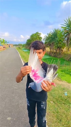 Bus vala kis ko bula rha hai 👀😂🕊️ #pigeon #publicreaction #reaction #reactionvideo #shorts #runts