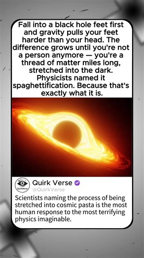 A BLACK HOLE DOESN'T CRUSH YOU — IT STRETCHES YOU