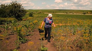 5.6K views · 27 reactions | LIFE in village! Cooking boiled crayfish and crayfish soup. | Family Food | Facebook
