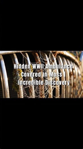 Hidden WWII Ambulance Covered in Moss | Incredible DISCOVERY | PART 2