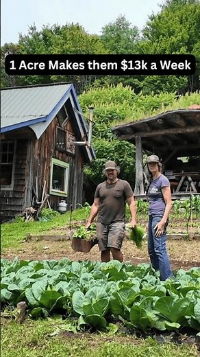 Their Land Was “Unfarmable” Now it Grows $13K a Week of Food