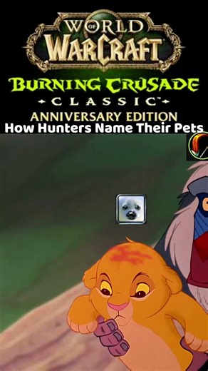 How hunters name their pets 😅 #wow #wowclassic #wowanniversary #worldofwarcraft #wowtbc