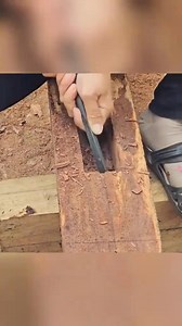 Part 60 #bushcraft #harvest #build #garden #fruit #farmlife #wildlife #forestlife.mp4 part 4 | Cải Tạo Nhà Cửa