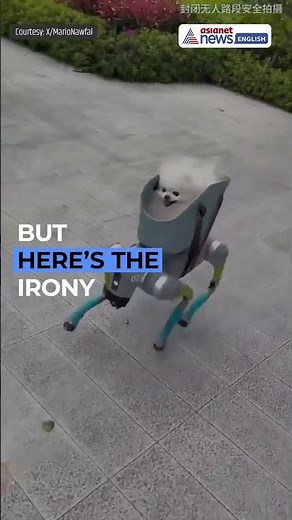 China’s Robot Dog Walker is Peak Irony (The One Thing Dogs Actually Need)